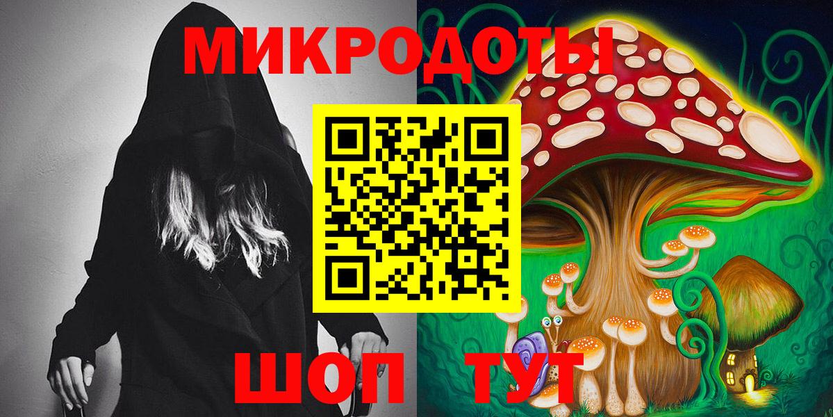где найти   Вход с VPN  Кисловодск  Галлюциногенные грибы Psilocybe  Псилоцибиновые грибы мицелий 